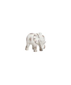 Elefante