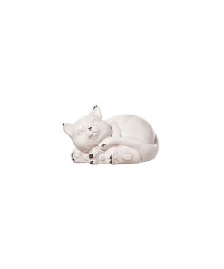 Gatto