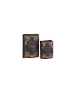 Coppia scatole libri