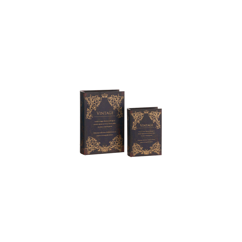 Coppia scatole libri