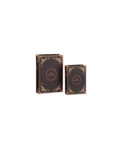 Coppia scatole libri