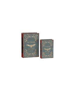 Coppia scatole libri
