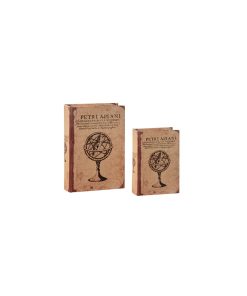 Coppia scatole libri