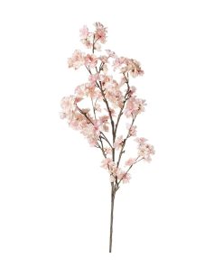 Fiori di ciliegio (conf. 12 pz.)