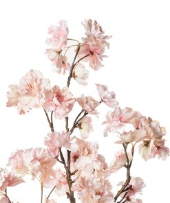 Alternative view of Fiori di ciliegio (conf. 12 pz.)