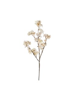 Fiori di ciliegio (conf. 12 pz.)