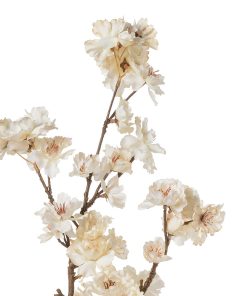 Alternative view of Fiori di ciliegio (conf. 12 pz.)