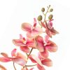 Orchidea (conf. 12 pz.) - immagine 2