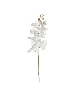 Orchidea bianca (conf. 12 pz.)