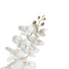 Orchidea bianca (conf. 12 pz.) - immagine 2