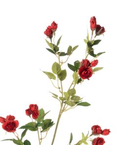 Alternative view of Fiorellini rossi (conf. 12 pz.)