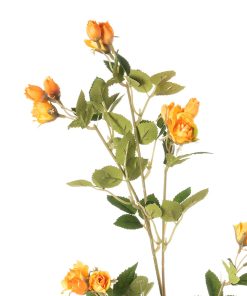 Alternative view of Fiorellini gialli (conf. 12 pz.)