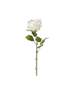Rosa real touch (conf. 12 pz.)