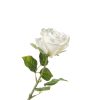 Rosa real touch (conf. 12 pz.) - immagine 2