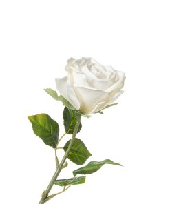 Alternative view of Rosa real touch (conf. 12 pz.)