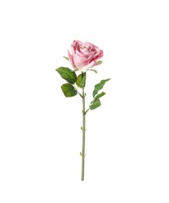 Rosa real touch (conf. 12 pz.)