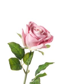 Alternative view of Rosa real touch (conf. 12 pz.)
