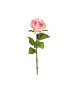 Rosa real touch (conf. 12 pz.)