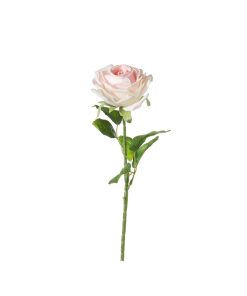 Rosa real touch (conf. 12 pz.)