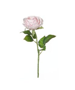 Rosa real touch (conf. 12 pz.)