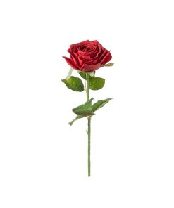 Rosa real touch (conf. 12 pz.)