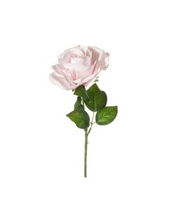 Rosa real touch (conf. 12 pz.)
