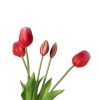 Tulipani (conf. 12 pz.) - immagine 2