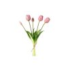 Tulipani (conf. 12 pz.)