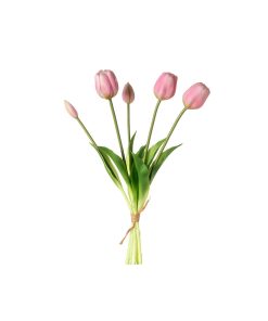 Tulipani (conf. 12 pz.)