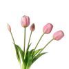 Tulipani (conf. 12 pz.) - immagine 2