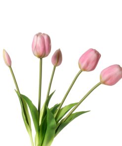 Alternative view of Tulipani (conf. 12 pz.)