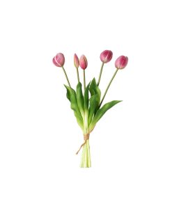 Tulipani (conf. 12 pz.)