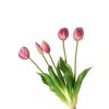 Tulipani (conf. 12 pz.) - immagine 2