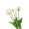 Tulipani (conf. 12 pz.) - immagine 2