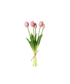 Tulipani (conf. 12 pz.)