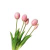 Tulipani (conf. 12 pz.) - immagine 2